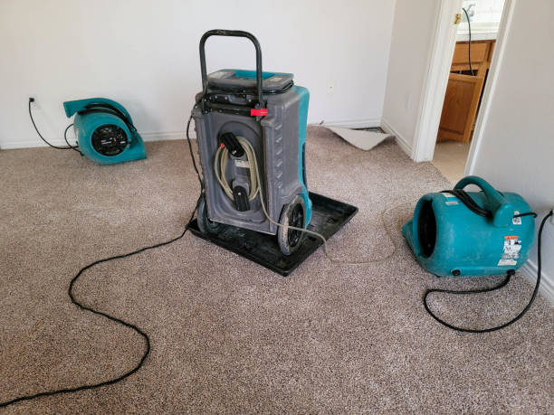 Best Local water damage restoration  in Edgewood, FL