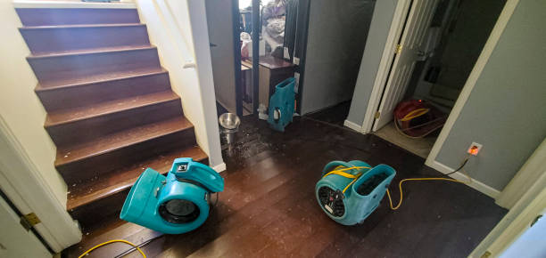 Best Water damage restoration near me  in Edgewood, FL