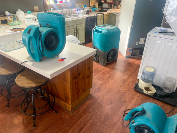Best Sewage cleanup and water damage restoration  in Edgewood, FL