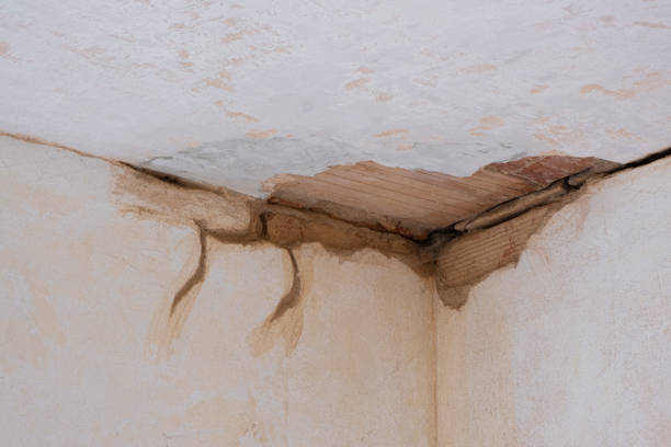 Best Ceiling water damage repair  in Edgewood, FL