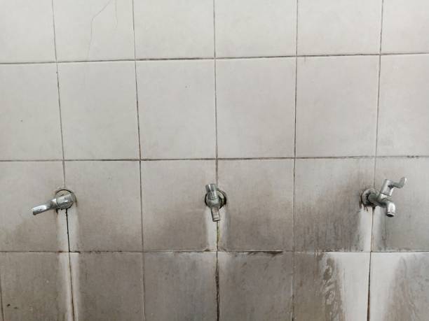 Best Water damage cleanup near me  in Edgewood, FL
