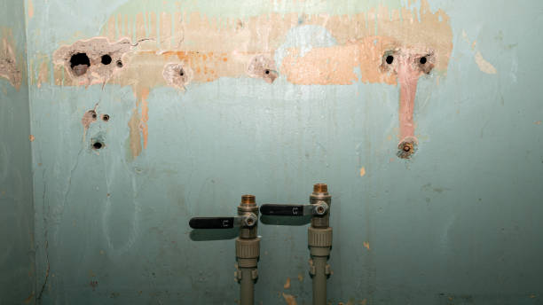 Best Professional water damage repair  in Edgewood, FL