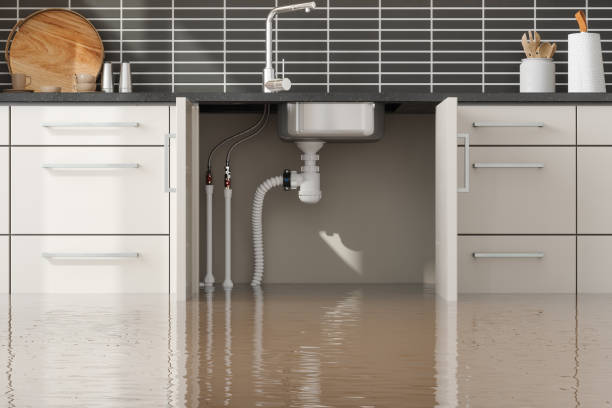 Best Flooded house restoration  in Edgewood, FL