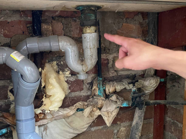 Best Basement water damage restoration  in Edgewood, FL