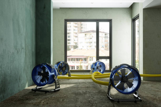 Best Water damage restoration mold remediation  in Edgewood, FL