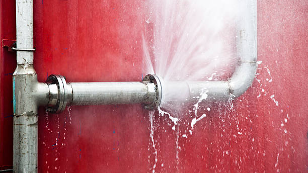 Best Water damage restoration experts  in Edgewood, FL